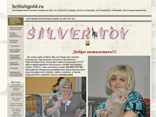 Питомник британских кошек "silver toy*ru"