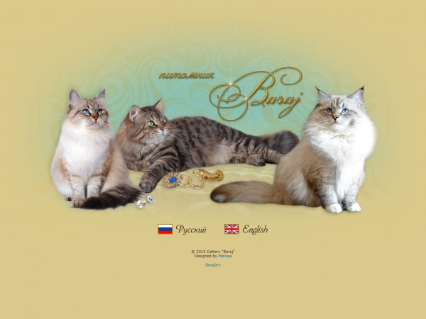 Питомник сибирских и невских маскарадных кошек "Baraj"(Барадж)